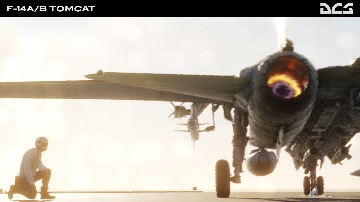 DCS:  F-14A/B Tomcat