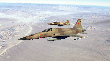 F-5E Aggressors Basic Fighter Maneuvers Campaign