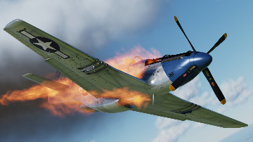 BNBOB_10