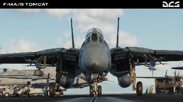 DCS:  F-14A/B Tomcat