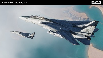 DCS:  F-14A/B Tomcat