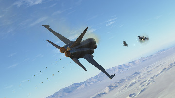 F-5E Aggressors Air Combat Maneuver Campaign