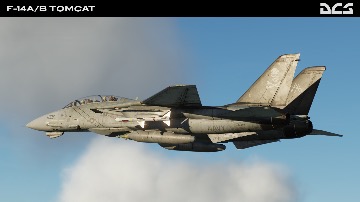 DCS:  F-14A/B Tomcat