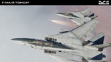 DCS:  F-14A/B Tomcat