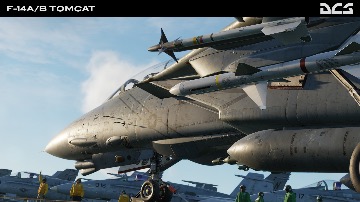 DCS:  F-14A/B Tomcat