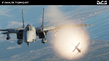 DCS:  F-14A/B Tomcat