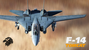 DCS: F-14 Tomcat