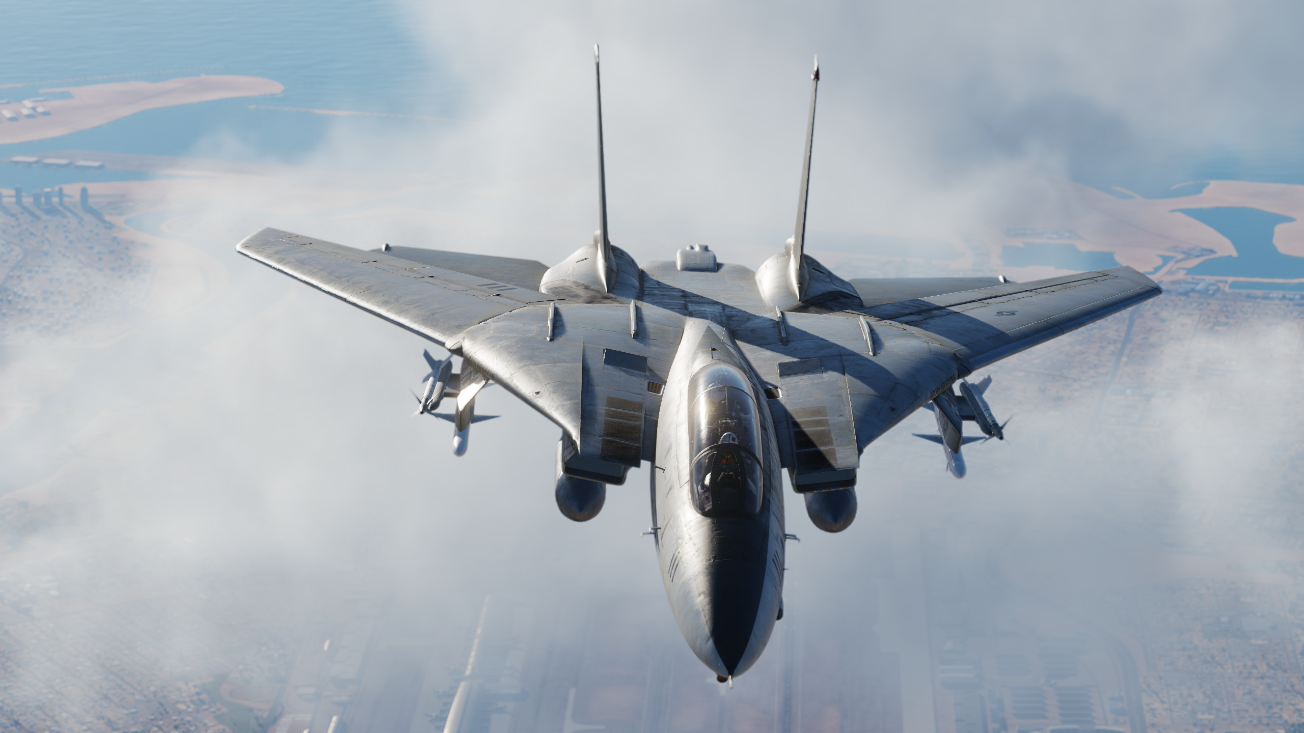 DCS: F-14 Tomcat