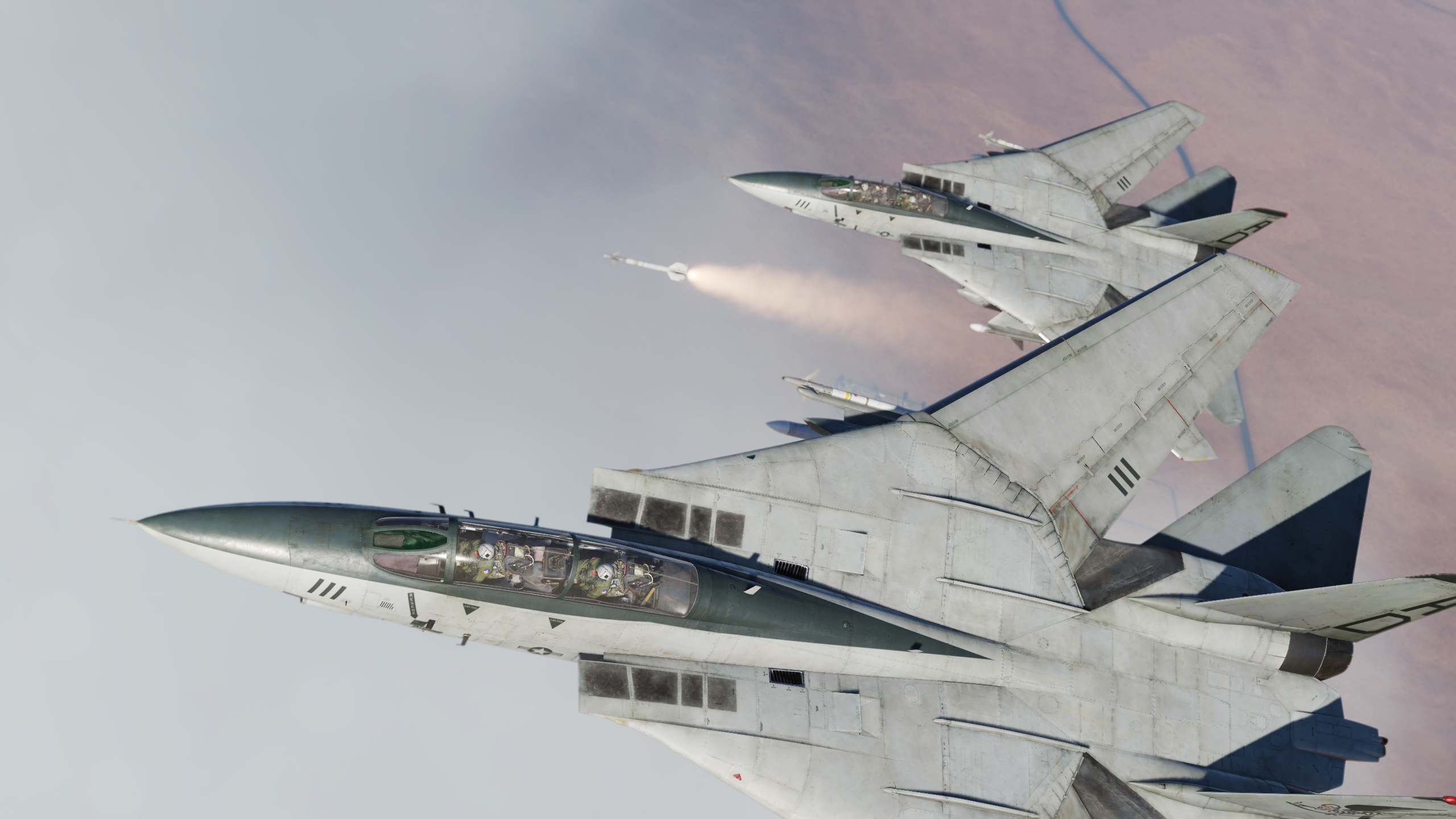 DCS: F-14 Tomcat