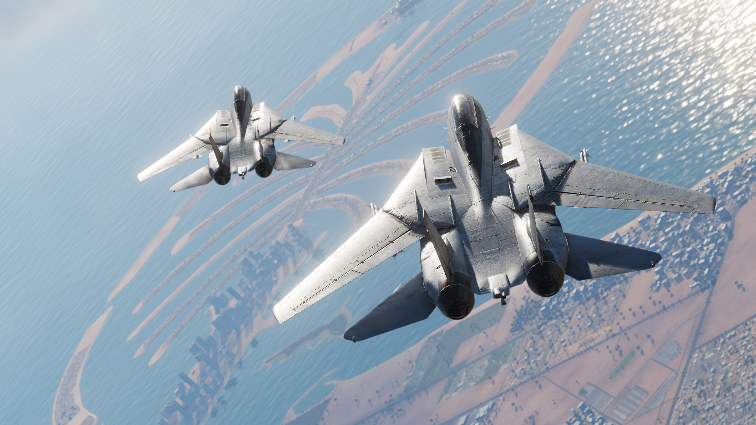 DCS: F-14 Tomcat