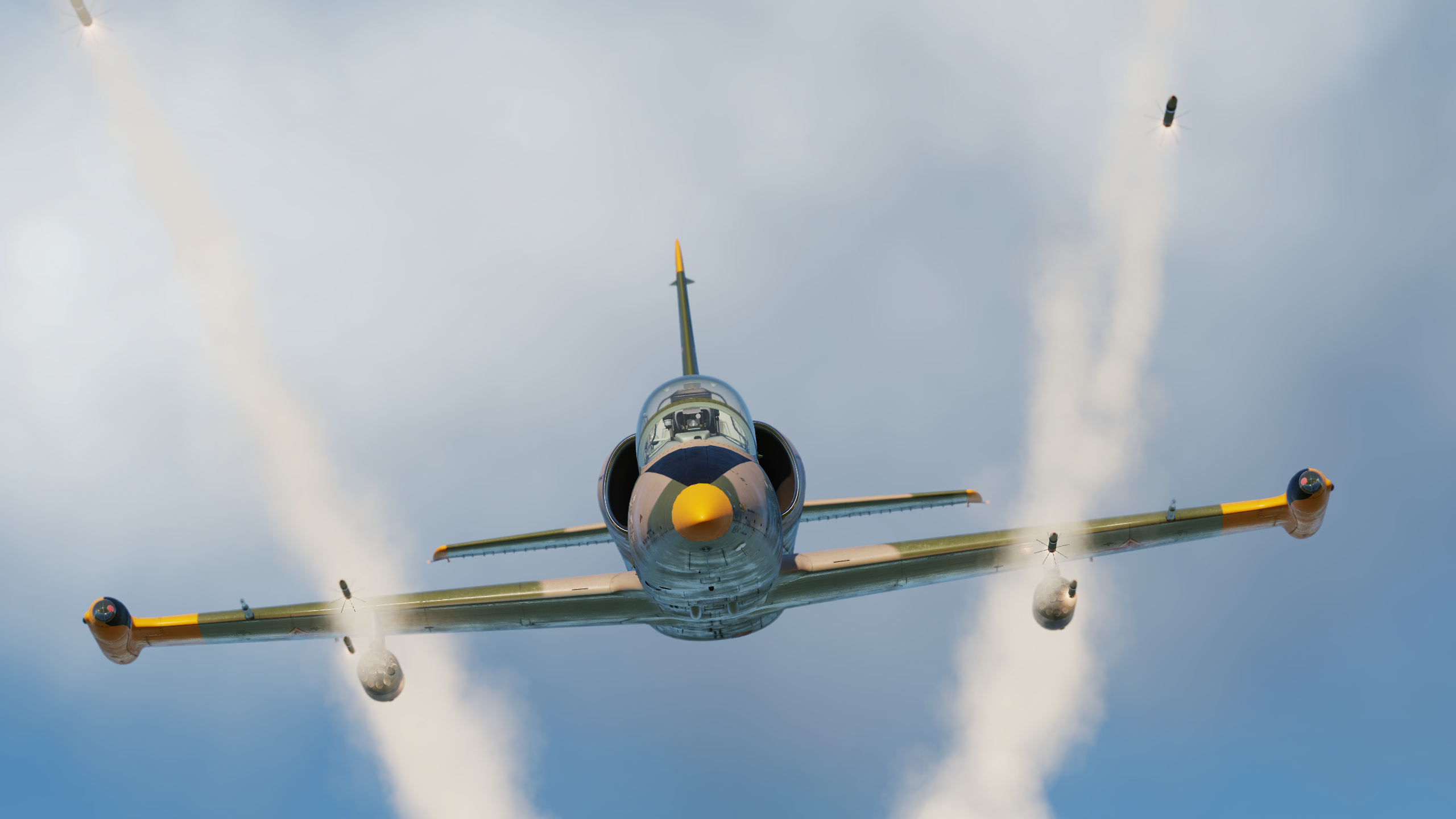DCS: L-39 Albatros
