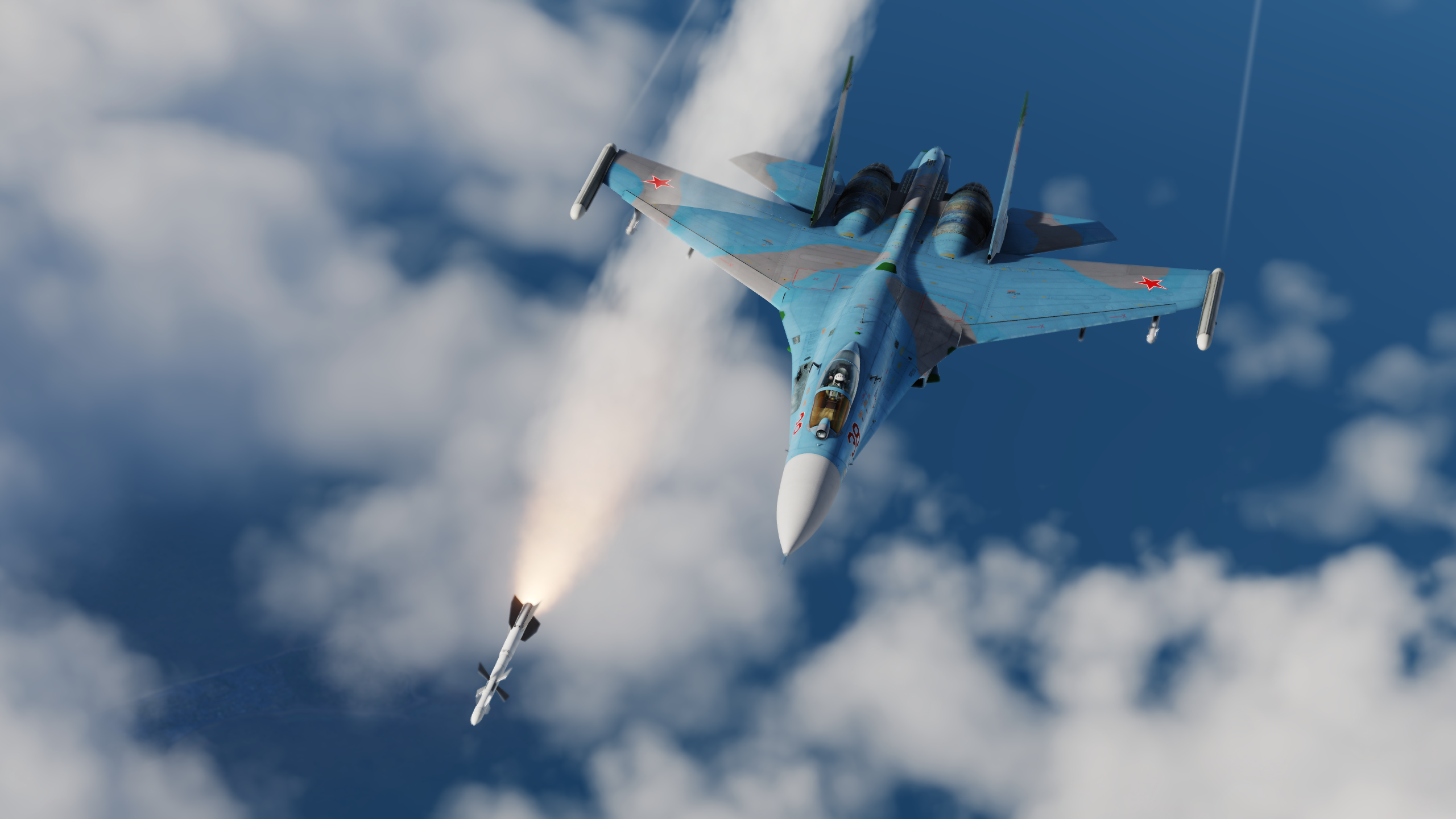 Su-27 Flaming Cliffs