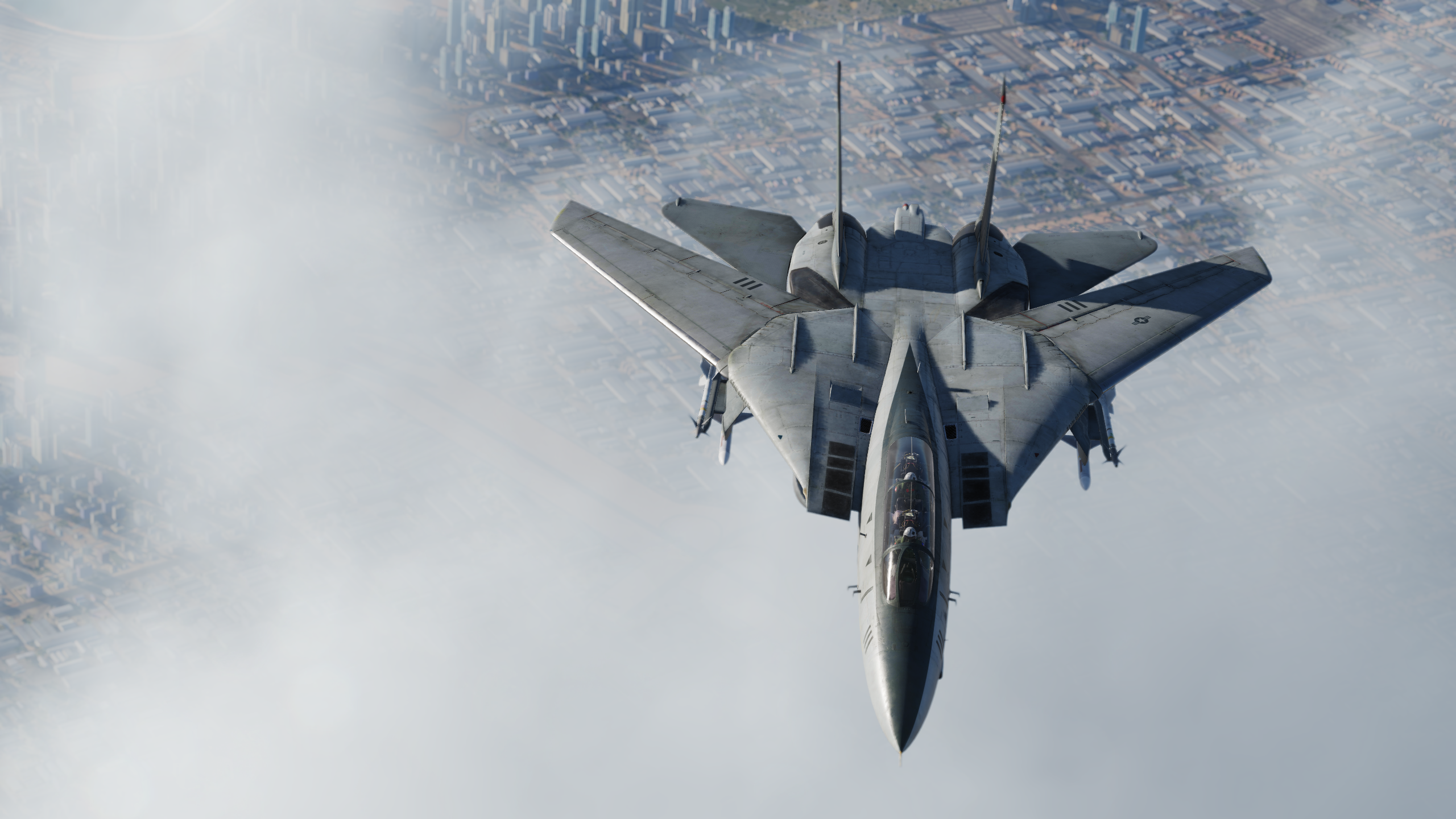 DCS: F-14 Tomcat